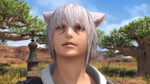 Which version of FFXIV on Nintendo Switch 2 should I get?